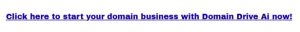 How to Start a Domain Business